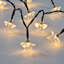 String Lights-27702659