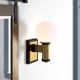 2 Light Glass Dimmable LED Armed Sconce