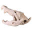 Statue d’artefact crâne crocodile