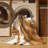 Machine Washable Brooksville Posh & Luxe Solid Color Rug in Beige – Beige Binding-120458521