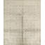 Neo Oriental Area Rug