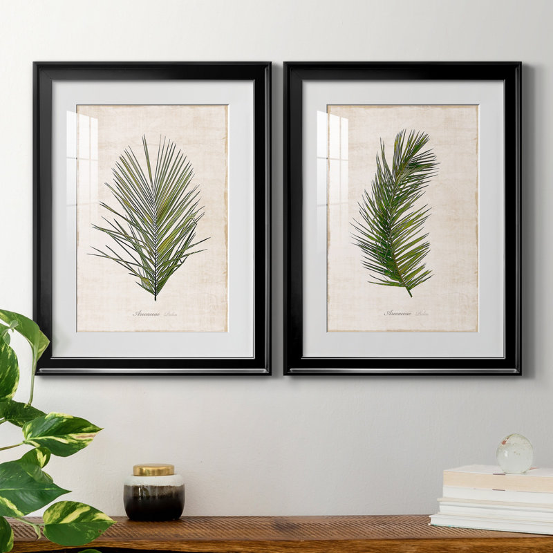 Palm Botanical I - ensemble de 2 impressions, Impression encadrée avec passe-partout, H 18,5 po x l 49 po, Noir