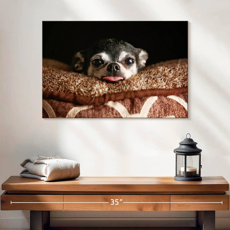 Playful Chihuahua, 24" H x 36" W
