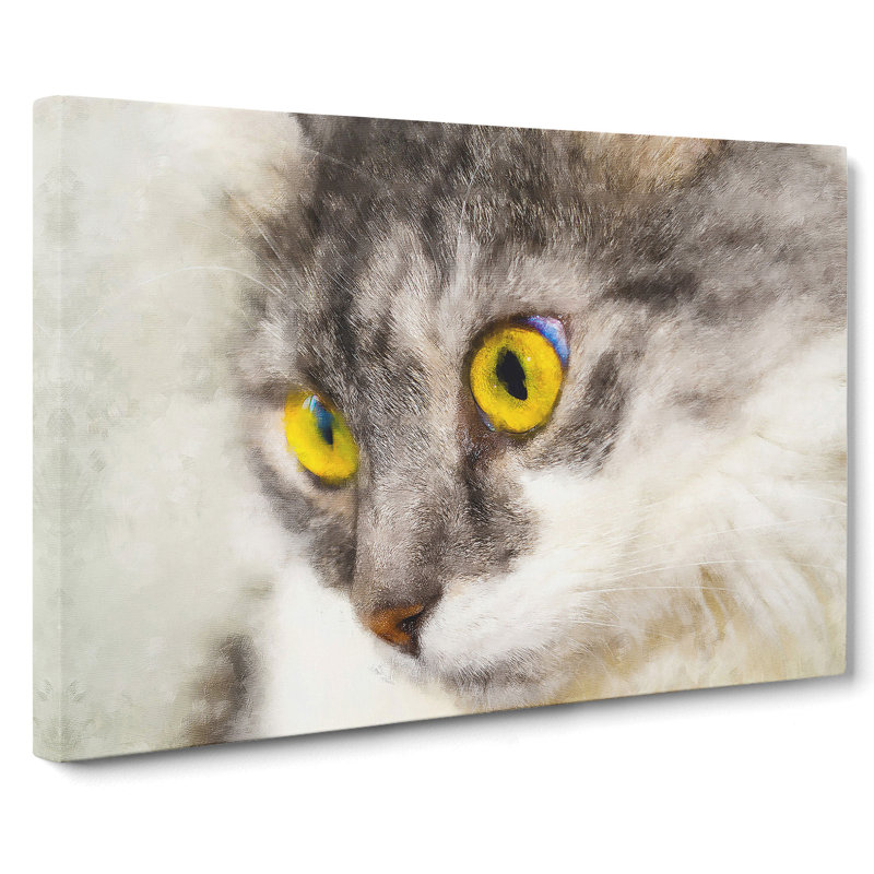 Portrait Of A Cat Vol.8 - Wrapped Canvas Print, 35cm H x 50cm W x 3cm D