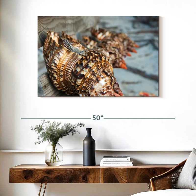 Aletra Ocean Shells, 26'' H x 39'' W