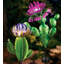 Piquet de jardin solaire Narelle