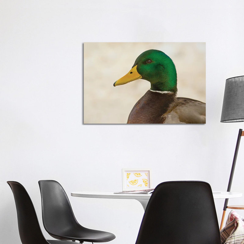 Drake Mallard Closeup by Louis Ruth - Wrapped Canvas Print, 101.6 cm H x 66.04 cm W x 1.91 cm D