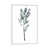 White Framed Canvas is unavailable