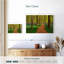 Chemin de hêtre Alvord Hallerbos-108887395