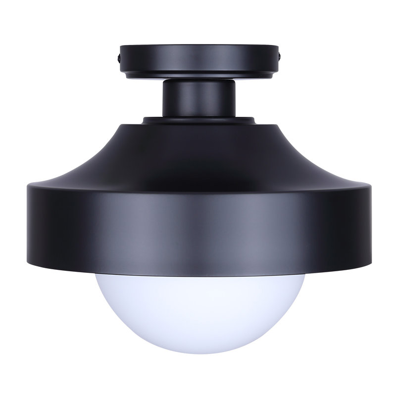 Plafonnier extérieur 1 lumière BAYLOR, finition noire