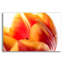 «Just A Peek» par Pamela Plummer-1109860074