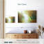 Avery Ethereal Autumn Woodland-107723781