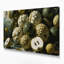 «Fruit Cherimoya Brown», art mural sur toile-114697996