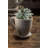 Statue Planter