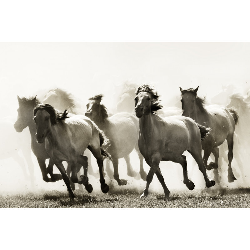 Wrapped Canvas Print, 50.8 cm H x 76.2 cm W