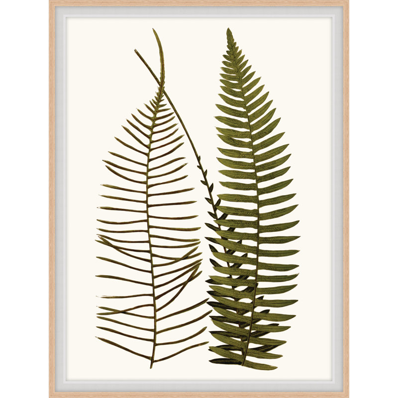 Elevated Undergrowth 3 Print by Art House Studios, 24" H x 19" W x 2" D