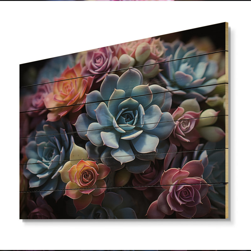 Seab Blue Succulent Field II sur impression sur bois, H 30 po x l 40 po x P 0,78 po