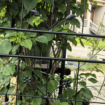 Treillis en métal pour grimper les légumes et la vigne, paquet de 2, galvanisé robuste, hauteur de 71 po, support pour treillis de plantes d'intérieur / extérieur, 20 po x 71 po, finition thermolaquée, roses Ivy idéales