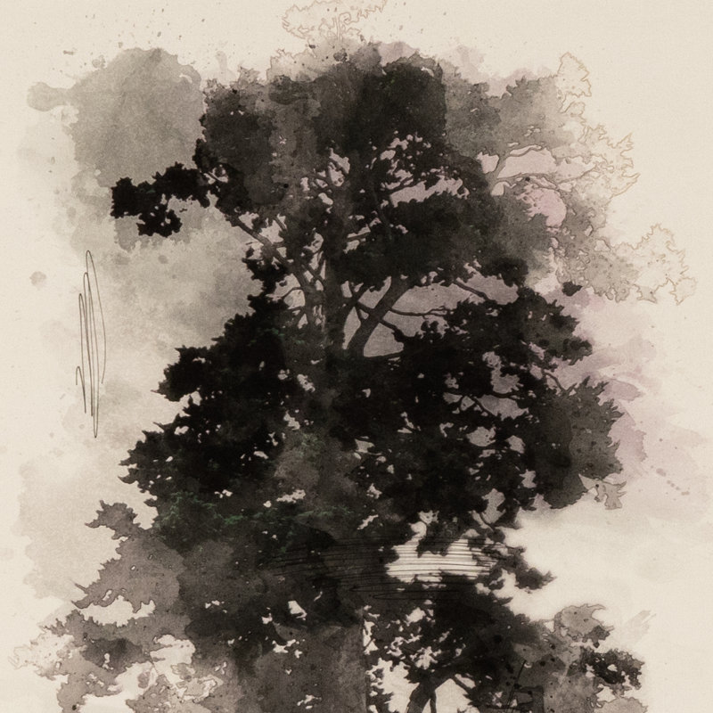Tree Sketch I Painting by Coup D'Esprit, 32" H x 24" W x 2.5" D