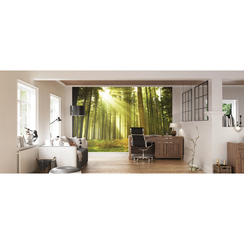 Sunay Matte Wall Mural, 240 cm L x 300 cm W
