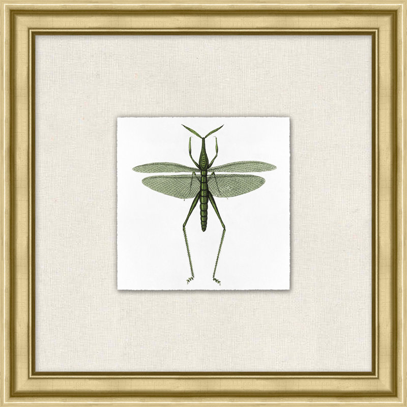 Flying Specimen 4 Print by Lillian August