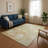 Premium Machine Washable Ralston AMF1941 Abstract Rug-1896720439