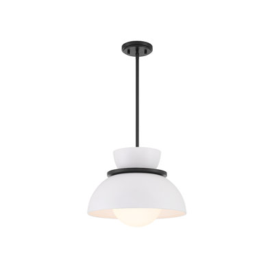 Zoja Single Light Glass Dimmable Pendant