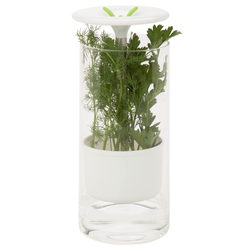 Clear Glass Herb Preserver Jar with Flip Top Lid