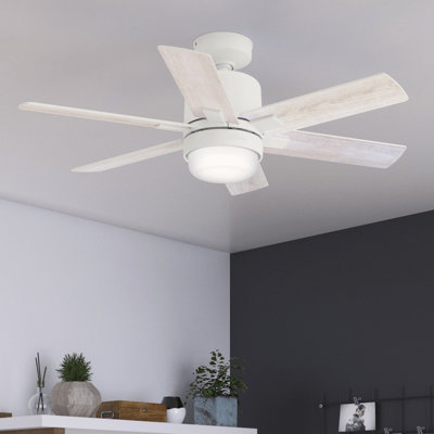 44" Radeon 6 - Blade LED Smart Standard Ceiling Fan with Wall Control and Light Kit Included