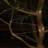 Indoor / Outdoor 100 - Bulb 468 in. Battery Powered and Solar Powered LED Rope String Light-1792392827