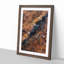 Forest in Piedimonte Matese Italy - Framed Print-55577791-55577788