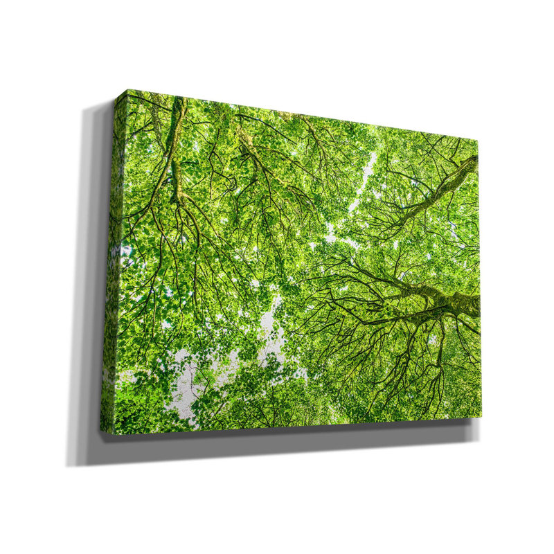 «Irish Irish On Canvas» par Mark A Paulda, reproduction, H 12 po x l 16 po x P 0,75 po
