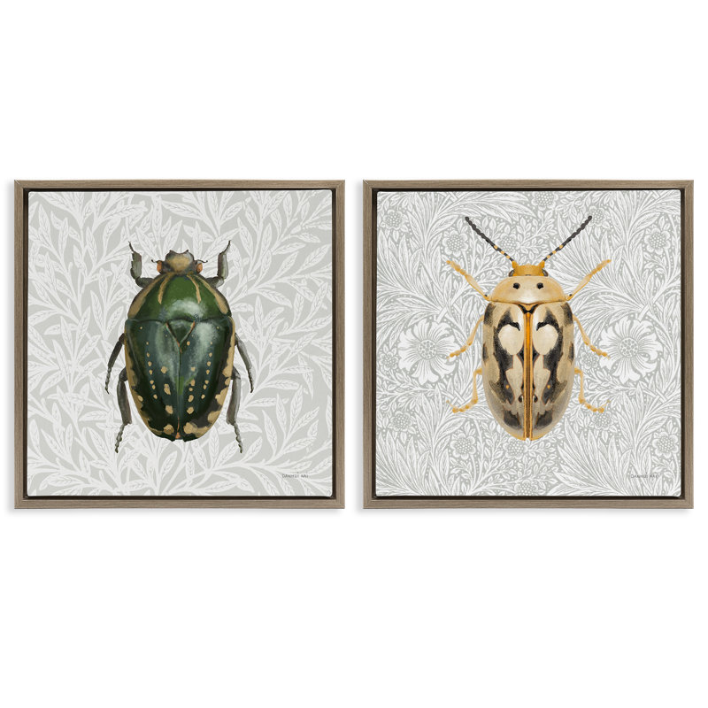 «Beetle Insect Portrait», ensemble de 2 toiles flottantes encadrées par Danhui Nai, Cadre flottant orme Montalcino