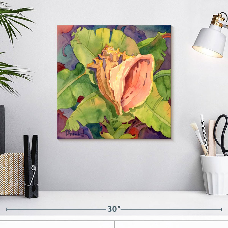 Aletra Mango Bay Conch