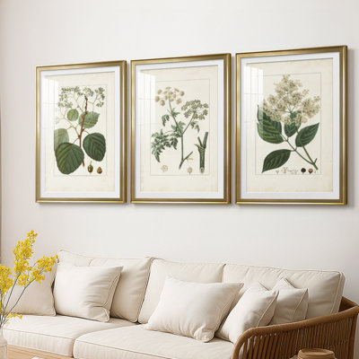 Antique Turpin Botanical IV  -Custom Framed  Premium Print W Matt - 3 Pieces