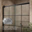 Porte de douche coulissante