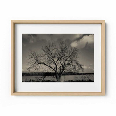 Baum Im Winter Print by Joseph Regan