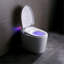 Tankless Smart Toilet With Bidet Built In, One-Piece, Auto Flush, Auto Open/Close,Heated Seat, Bubble Wash,Warm Water And Dry, Adjustable Temp,Remote Control Side Know