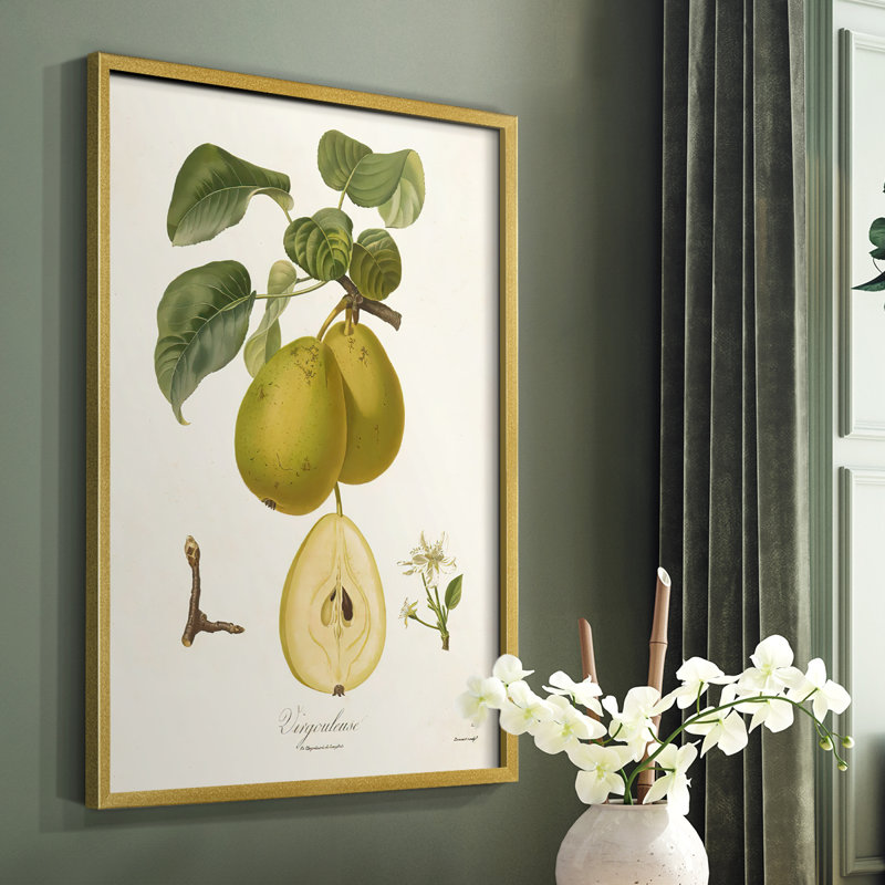 Vintage Pears III, reproduction encadrée - bois massif, H 28 po x l 22 po