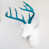 White/Turquoise