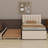 Upholstered Platform Bed With Trundle-1619299393