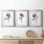 «Watercolor Floral Contour I», reproduction encadrée de qualité supérieure - prête à être accrochée-257541392-257541404-257493653
