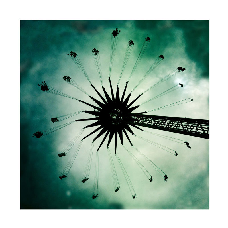 Art sur toile Frank Wijn Dandelion, H 14 po x l 14 po
