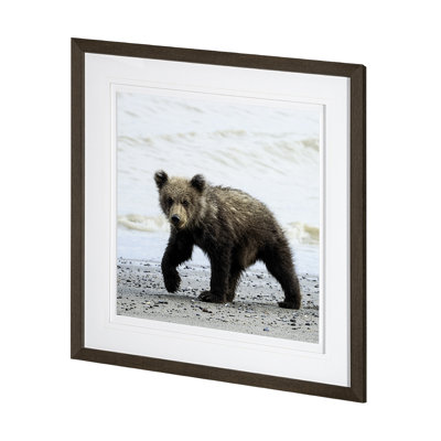 Curious Cub par Wink Gaines