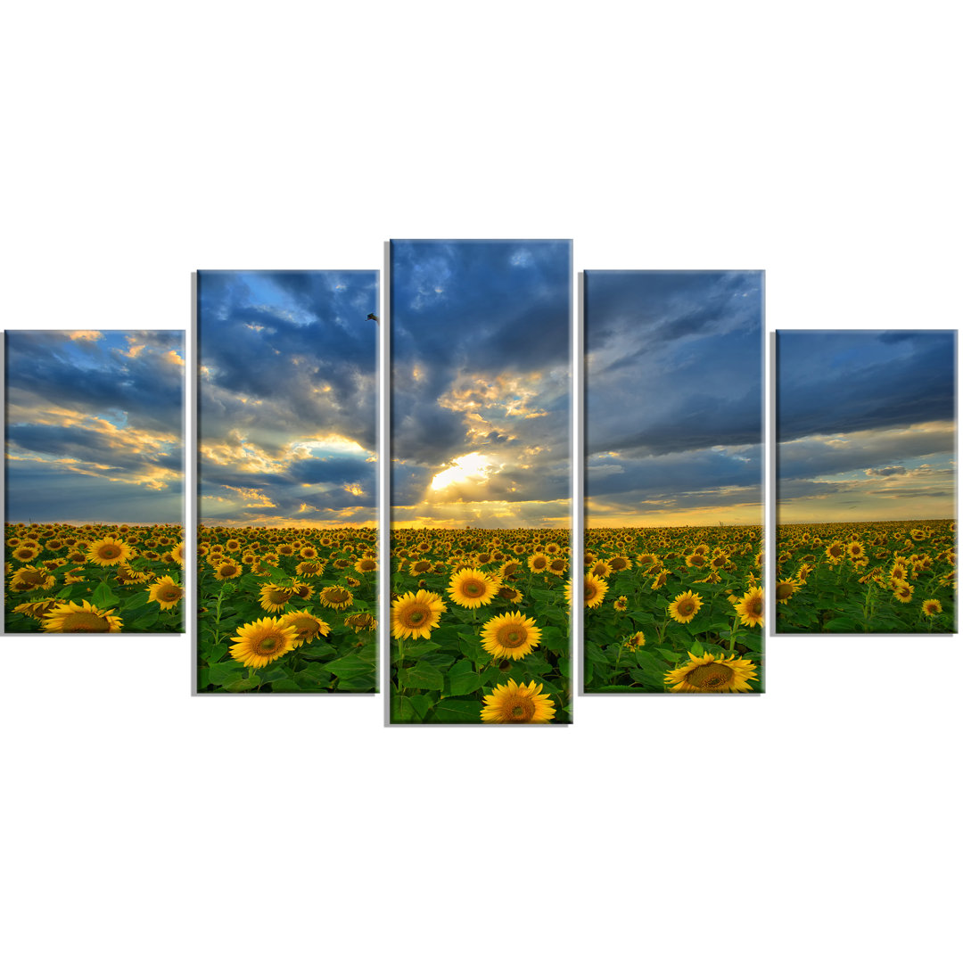 " Beauty Sunset Over Sunflowers " 5 - Pieces Design Art