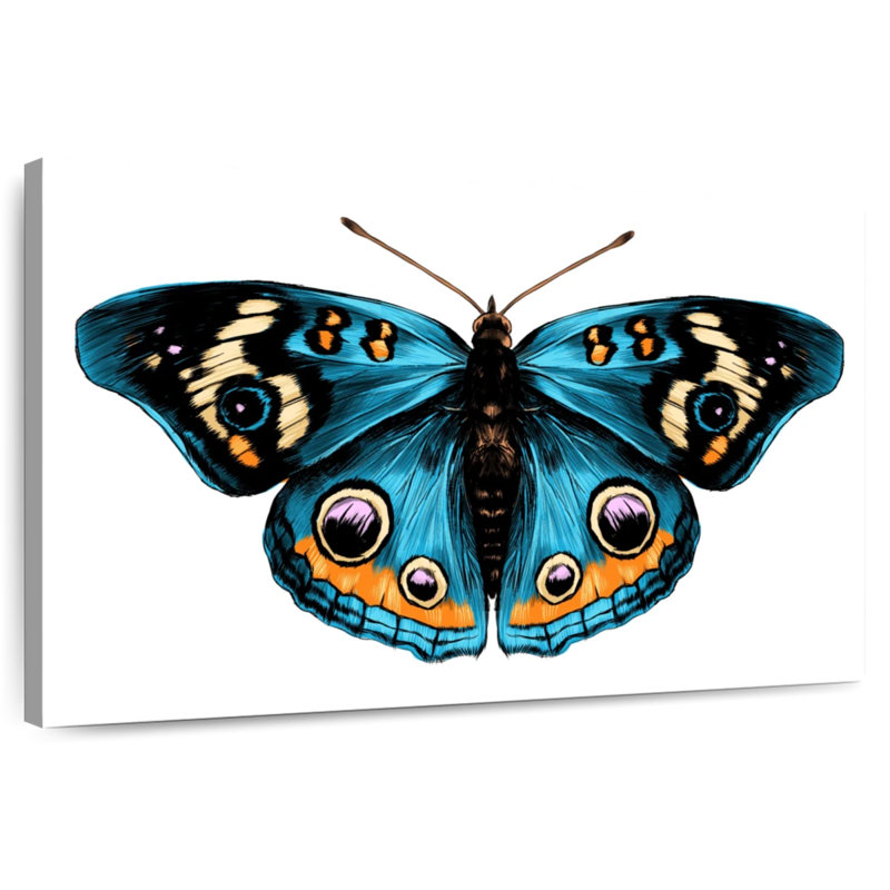 Brampt Butterfly Symmetry, H 16 po x l 24 po