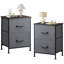 Table de chevet avec 2 tiroirs spacieux pour la chambre à coucher, table de chevet avec structure en métal, table de bout avec bacs de rangement, petite commode pour le placard, vestibule, dortoir d'université -1394551461