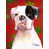 Boxer (blanc et noir)