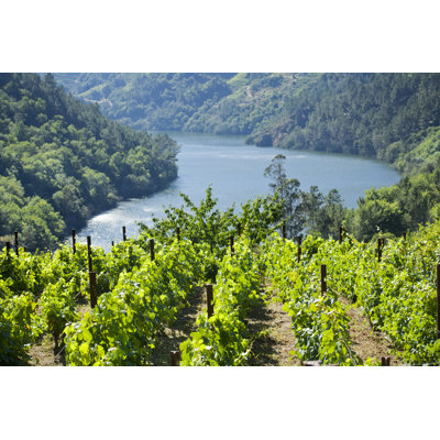 Ribeira Sacra Vineyard par Percds