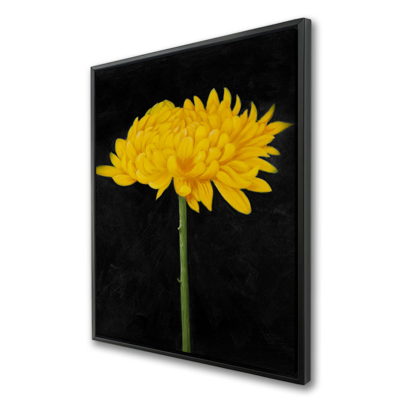 «Chrysanthemum», toile encadrée noire | Art floral